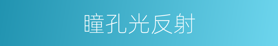 瞳孔光反射的同义词