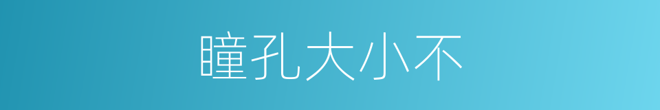 瞳孔大小不的同义词