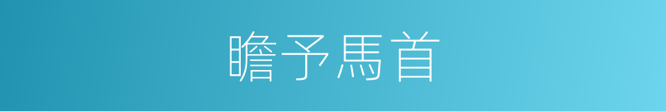 瞻予馬首的意思