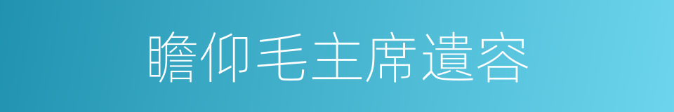 瞻仰毛主席遺容的同義詞