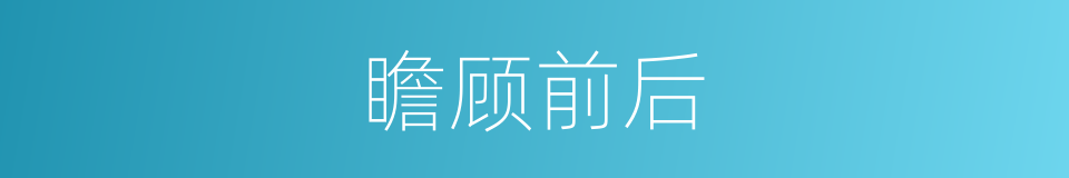 瞻顾前后的意思