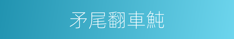 矛尾翻車魨的同義詞