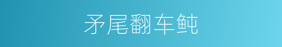 矛尾翻车鲀的同义词
