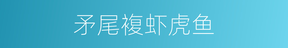 矛尾複虾虎鱼的同义词