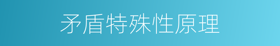 矛盾特殊性原理的同义词