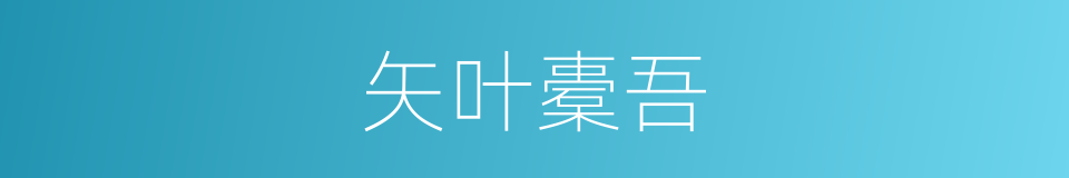 矢叶橐吾的同义词