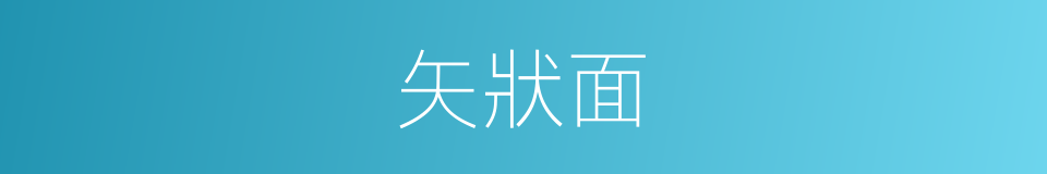 矢狀面的同義詞