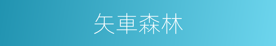 矢車森林的同義詞