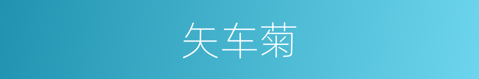 矢车菊的意思