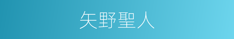 矢野聖人的同義詞