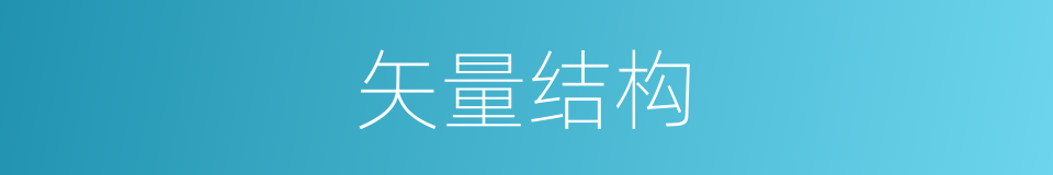 矢量结构的同义词