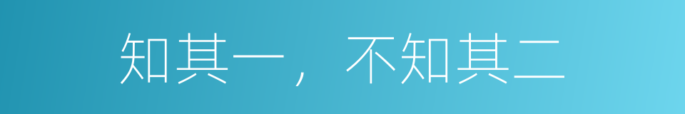 知其一，不知其二的同义词