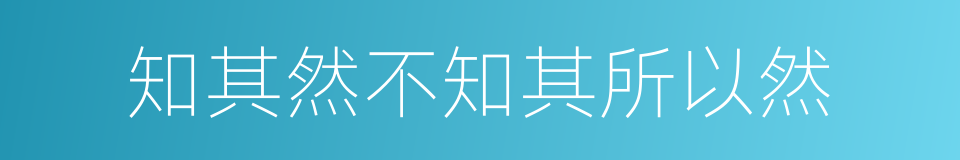 知其然不知其所以然的同义词