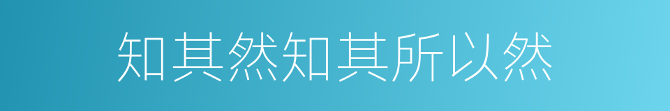 知其然知其所以然的意思