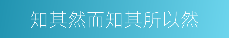 知其然而知其所以然的同义词