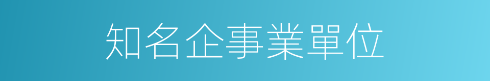 知名企事業單位的同義詞