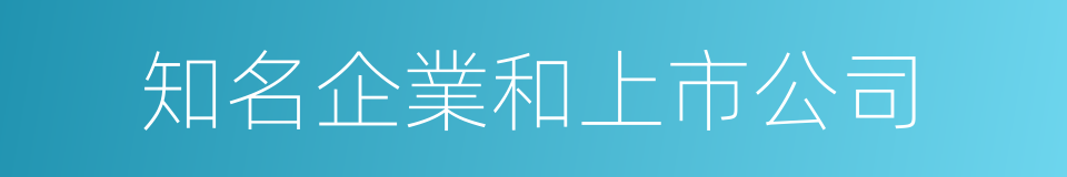 知名企業和上市公司的同義詞