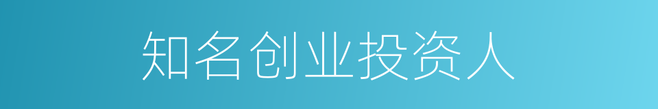 知名创业投资人的同义词