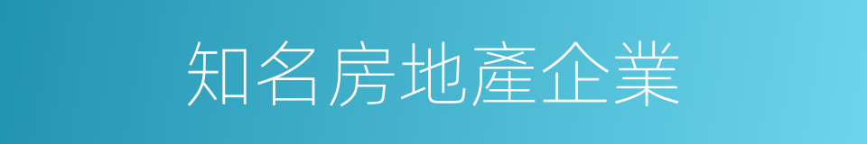 知名房地產企業的同義詞