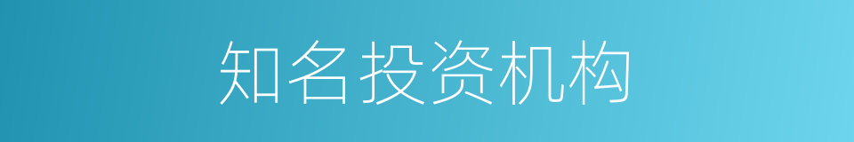 知名投资机构的同义词