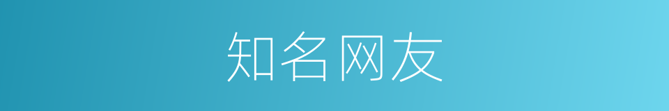 知名网友的同义词