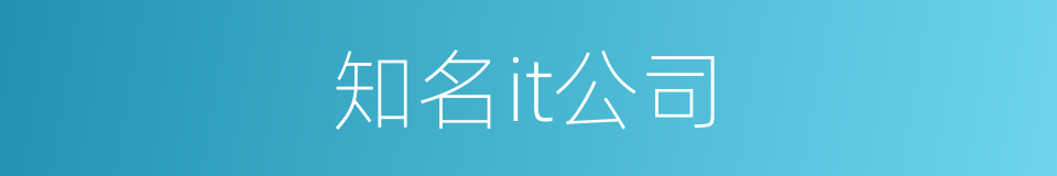 知名it公司的同义词