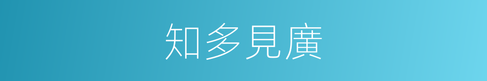 知多見廣的同義詞