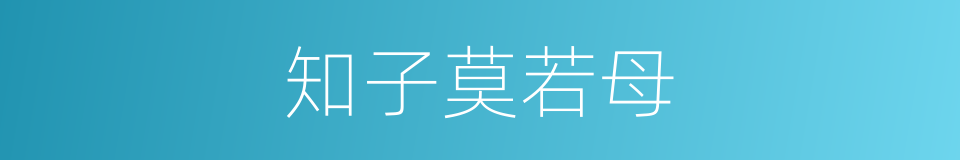 知子莫若母的同义词