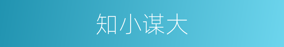 知小谋大的意思