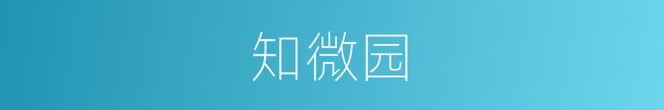 知微园的同义词