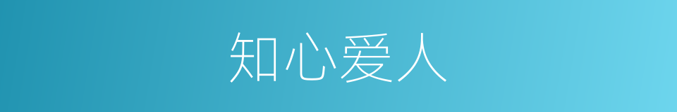 知心爱人的同义词