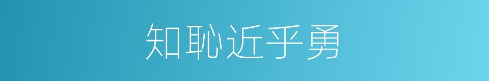 知恥近乎勇的同義詞