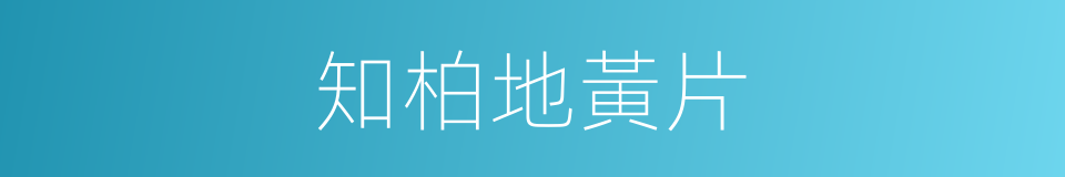 知柏地黃片的同義詞