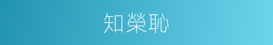 知榮恥的同義詞