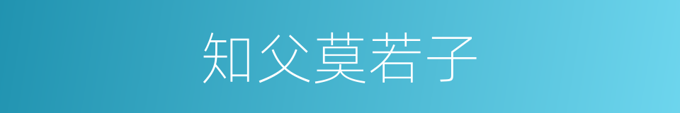 知父莫若子的同义词