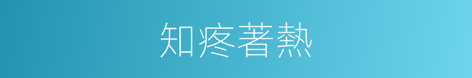 知疼著熱的意思