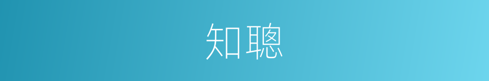 知聰的同義詞