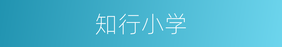 知行小学的同义词