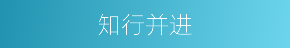 知行并进的同义词