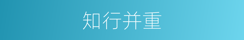 知行并重的同义词