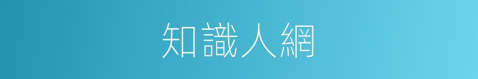 知識人網的同義詞