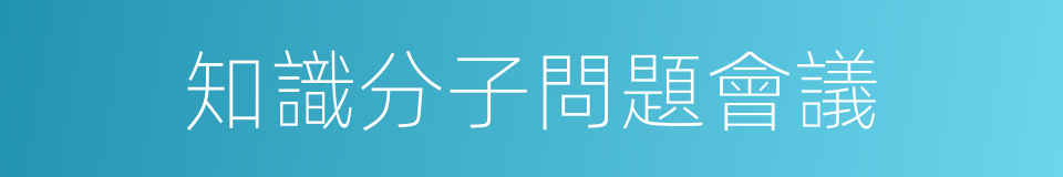 知識分子問題會議的同義詞