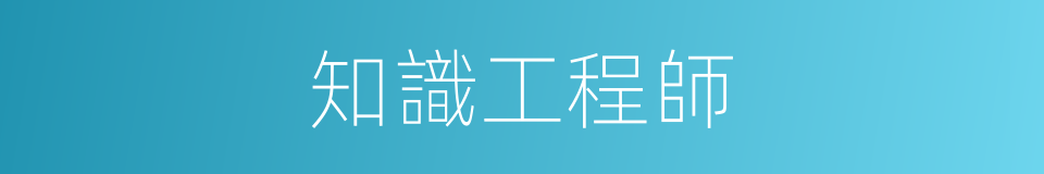 知識工程師的同義詞