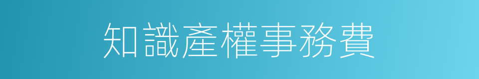 知識產權事務費的同義詞