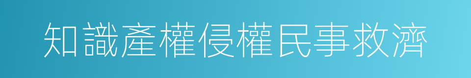 知識產權侵權民事救濟的同義詞