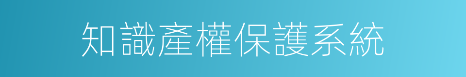 知識產權保護系統的同義詞
