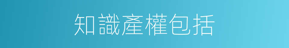 知識產權包括的同義詞