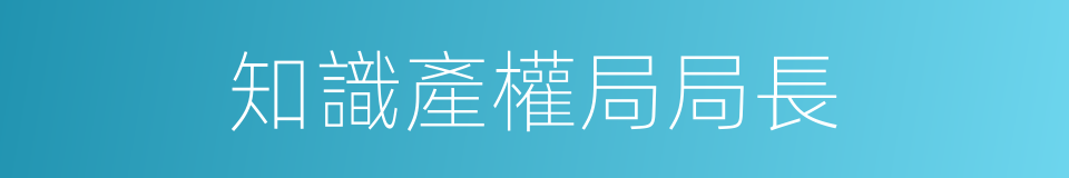 知識產權局局長的同義詞