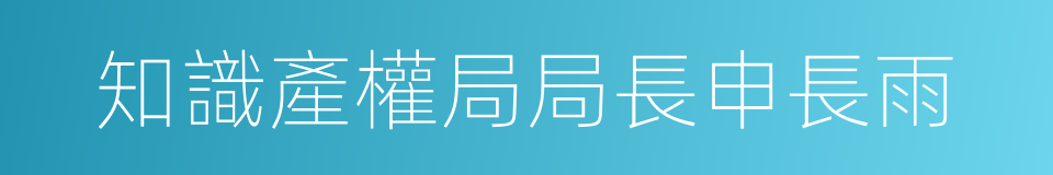 知識產權局局長申長雨的同義詞