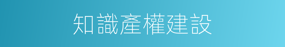 知識產權建設的同義詞